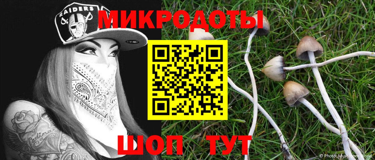 Псилоцибиновые грибы Psilocybine cubensis  Вход с VPN  Псилоцибиновые грибы мухоморы  Бахчисарай 