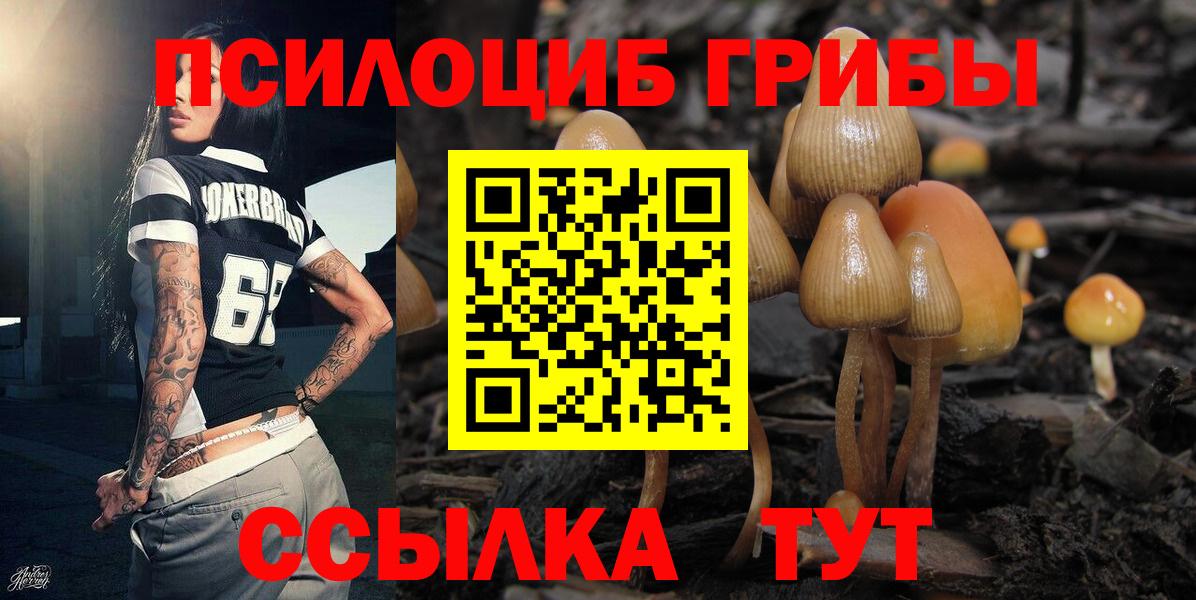 Псилоцибиновые грибы Magic Shrooms Бахчисарай